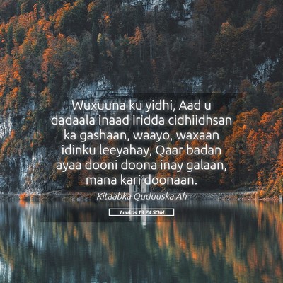Picture 05 - Luukos 13:24 SOM - Wuxuuna ku yidhi, Aad u dadaala inaad iridda - Bible Verse Picture