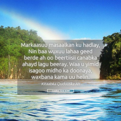 Picture 05 - Luukos 13:6 SOM - Markaasuu masaalkan ku hadlay, Nin baa wuxuu - Bible Verse Picture