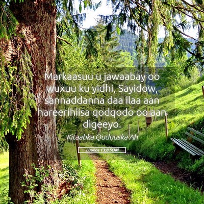 Picture 05 - Luukos 13:8 SOM - Markaasuu u jawaabay oo wuxuu ku yidhi, Sayidow, - Bible Verse Picture