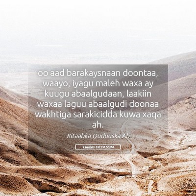 Picture 05 - Luukos 14:14 SOM - oo aad barakaysnaan doontaa, waayo, iyagu maleh - Bible Verse Picture