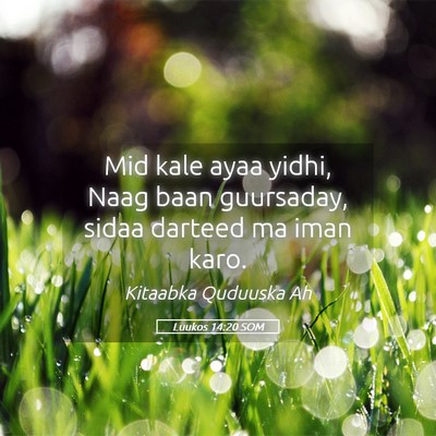 Picture 05 - Luukos 14:20 SOM - Mid kale ayaa yidhi, Naag baan guursaday, sidaa - Bible Verse Picture