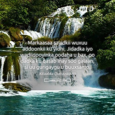 Picture 05 - Luukos 14:23 SOM - Markaasaa sayidkii wuxuu addoonkii ku yidhi, - Bible Verse Picture