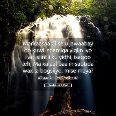 Picture 05 - Luukos 14:3 SOM - Markaasaa Ciise u jawaabay oo kuwii sharciga - Bible Verse Picture