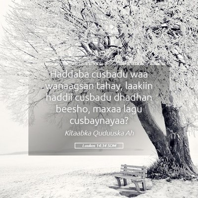 Picture 05 - Luukos 14:34 SOM - Haddaba cusbadu waa wanaagsan tahay, laakiin - Bible Verse Picture