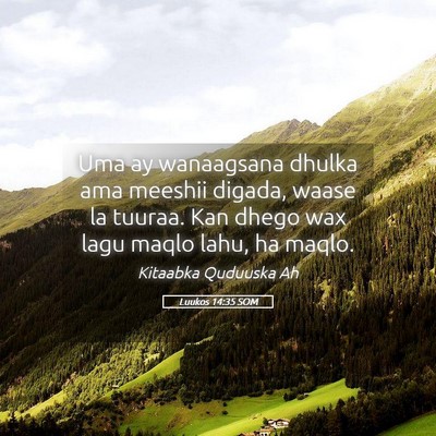Picture 05 - Luukos 14:35 SOM - Uma ay wanaagsana dhulka ama meeshii digada, - Bible Verse Picture