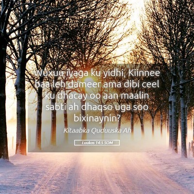 Picture 05 - Luukos 14:5 SOM - Wuxuu iyaga ku yidhi, Kiinnee baa leh dameer ama - Bible Verse Picture