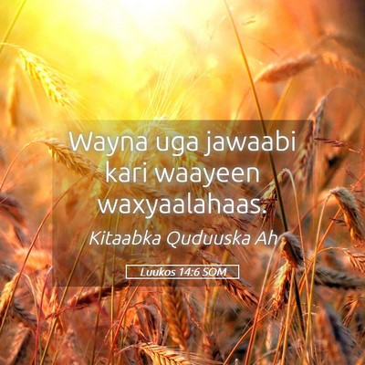 Picture 05 - Luukos 14:6 SOM - Wayna uga jawaabi kari waayeen - Bible Verse Picture