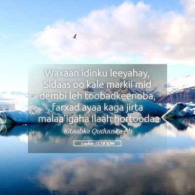 Picture 05 - Luukos 15:10 SOM - Waxaan idinku leeyahay, Sidaas oo kale markii mid - Bible Verse Picture