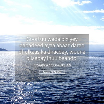 Picture 05 - Luukos 15:14 SOM - Goortuu wada bixiyey dabadeed ayaa abaar daran - Bible Verse Picture