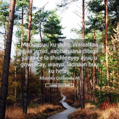 Picture 05 - Luukos 15:27 SOM - Markaasuu ku yidhi, Walaalkaa ayaa yimid, - Bible Verse Picture