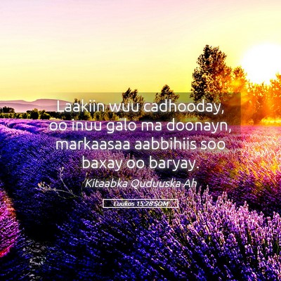 Picture 05 - Luukos 15:28 SOM - Laakiin wuu cadhooday, oo inuu galo ma doonayn, - Bible Verse Picture