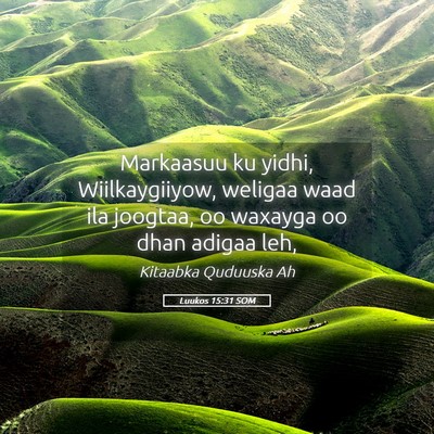 Picture 05 - Luukos 15:31 SOM - Markaasuu ku yidhi, Wiilkaygiiyow, weligaa waad - Bible Verse Picture