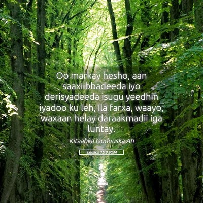 Picture 05 - Luukos 15:9 SOM - Oo markay hesho, aan saaxiibbadeeda iyo - Bible Verse Picture