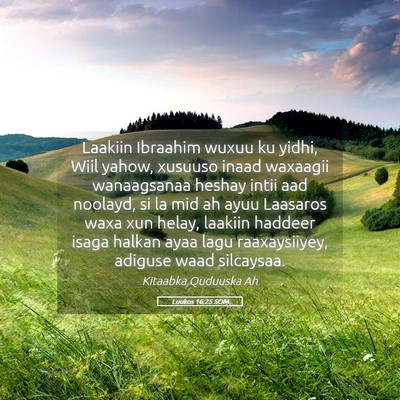 Picture 05 - Luukos 16:25 SOM - Laakiin Ibraahim wuxuu ku yidhi, Wiil yahow, - Bible Verse Picture