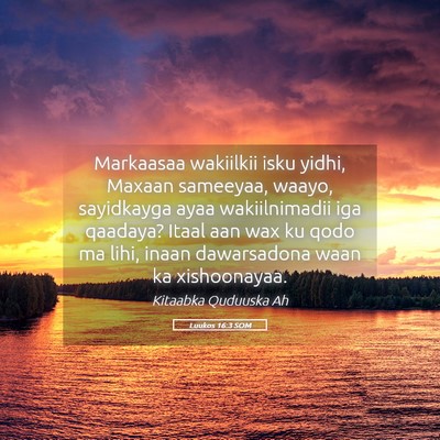 Picture 05 - Luukos 16:3 SOM - Markaasaa wakiilkii isku yidhi, Maxaan sameeyaa, - Bible Verse Picture