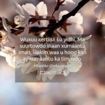 Picture 05 - Luukos 17:1 SOM - Wuxuu xertiisii ku yidhi, Ma suurtowdo inaan - Bible Verse Picture