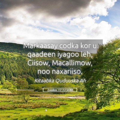 Picture 05 - Luukos 17:13 SOM - Markaasay codka kor u qaadeen iyagoo leh, Ciisow, - Bible Verse Picture