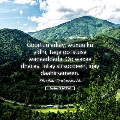 Picture 05 - Luukos 17:14 SOM - Goortuu arkay, wuxuu ku yidhi, Taga oo istusa - Bible Verse Picture