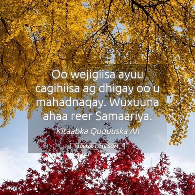 Picture 05 - Luukos 17:16 SOM - Oo wejigiisa ayuu cagihiisa ag dhigay oo u - Bible Verse Picture