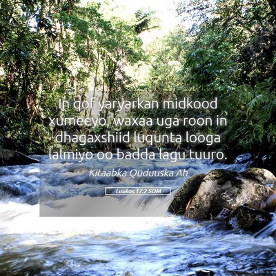 Picture 05 - Luukos 17:2 SOM - In qof yaryarkan midkood xumeeyo, waxaa uga roon - Bible Verse Picture