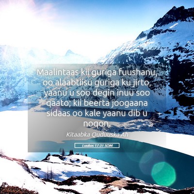 Picture 05 - Luukos 17:31 SOM - Maalintaas kii guriga fuushanu, oo alaabtiisu - Bible Verse Picture