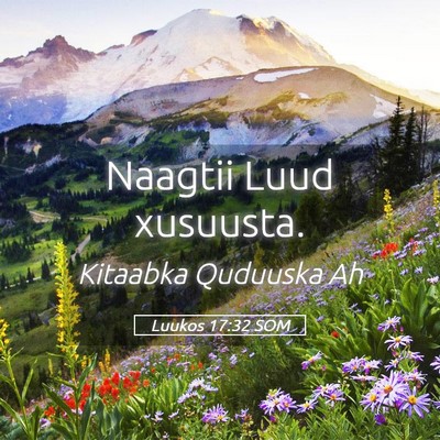 Picture 05 - Luukos 17:32 SOM - Naagtii Luud - Bible Verse Picture
