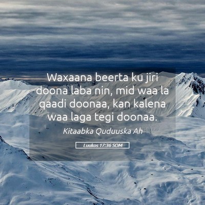 Picture 05 - Luukos 17:36 SOM - Waxaana beerta ku jiri doona laba nin, mid waa la - Bible Verse Picture