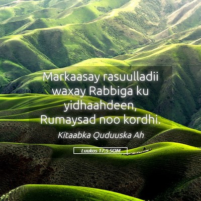 Picture 05 - Luukos 17:5 SOM - Markaasay rasuulladii waxay Rabbiga ku - Bible Verse Picture