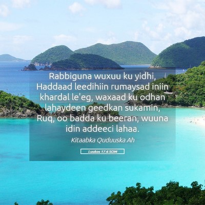 Picture 05 - Luukos 17:6 SOM - Rabbiguna wuxuu ku yidhi, Haddaad leedihiin - Bible Verse Picture