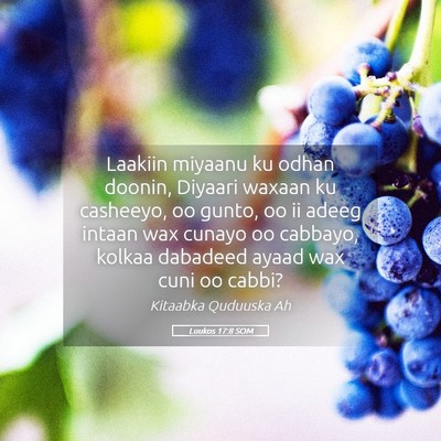 Picture 05 - Luukos 17:8 SOM - Laakiin miyaanu ku odhan doonin, Diyaari waxaan - Bible Verse Picture