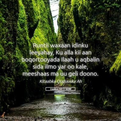 Picture 05 - Luukos 18:17 SOM - Runtii waxaan idinku leeyahay, Ku alla kii aan - Bible Verse Picture