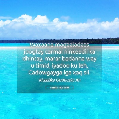 Picture 05 - Luukos 18:3 SOM - Waxaana magaaladaas joogtay carmal ninkeedii ka - Bible Verse Picture