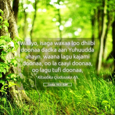 Picture 05 - Luukos 18:32 SOM - Waayo, isaga waxaa loo dhiibi doonaa dadka aan - Bible Verse Picture
