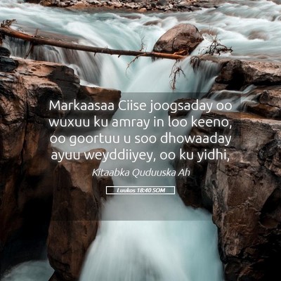 Picture 05 - Luukos 18:40 SOM - Markaasaa Ciise joogsaday oo wuxuu ku amray in - Bible Verse Picture