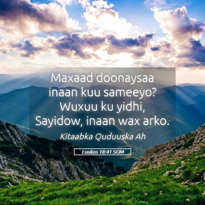 Picture 05 - Luukos 18:41 SOM - Maxaad doonaysaa inaan kuu sameeyo? Wuxuu ku - Bible Verse Picture