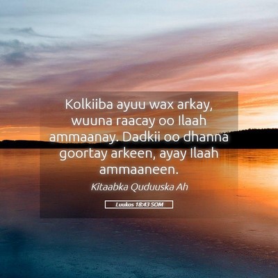 Picture 05 - Luukos 18:43 SOM - Kolkiiba ayuu wax arkay, wuuna raacay oo Ilaah - Bible Verse Picture