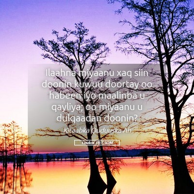 Picture 05 - Luukos 18:7 SOM - Ilaahna miyaanu xaq siin doonin kuwuu doortay oo - Bible Verse Picture