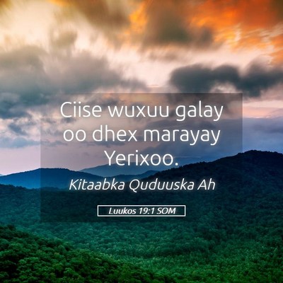 Picture 05 - Luukos 19:1 SOM - Ciise wuxuu galay oo dhex marayay - Bible Verse Picture