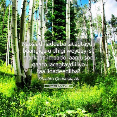 Picture 05 - Luukos 19:23 SOM - Maxaad haddaba lacagtaydii baangiga u dhigi - Bible Verse Picture