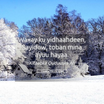 Picture 05 - Luukos 19:25 SOM - Waxay ku yidhaahdeen, Sayidow, toban mina ayuu - Bible Verse Picture