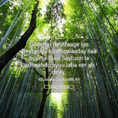 Picture 05 - Luukos 19:29 SOM - Goortuu Beytfaage iyo Beytaniya ku dhowaaday ilaa - Bible Verse Picture