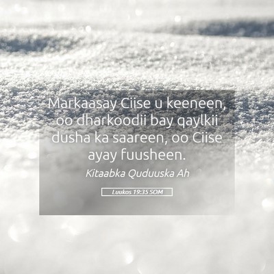 Picture 05 - Luukos 19:35 SOM - Markaasay Ciise u keeneen, oo dharkoodii bay - Bible Verse Picture