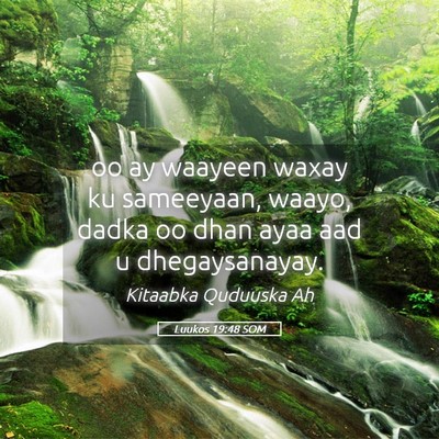 Picture 05 - Luukos 19:48 SOM - oo ay waayeen waxay ku sameeyaan, waayo, dadka oo - Bible Verse Picture