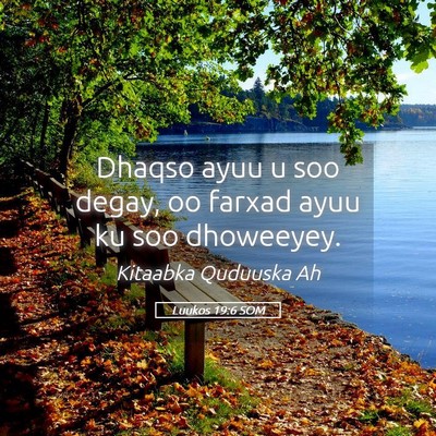 Picture 05 - Luukos 19:6 SOM - Dhaqso ayuu u soo degay, oo farxad ayuu ku soo - Bible Verse Picture