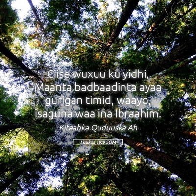 Picture 05 - Luukos 19:9 SOM - Ciise wuxuu ku yidhi, Maanta badbaadinta ayaa - Bible Verse Picture