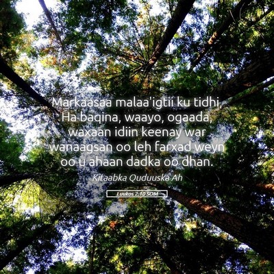 Picture 05 - Luukos 2:10 SOM - Markaasaa malaa'igtii ku tidhi, Ha baqina, waayo, - Bible Verse Picture