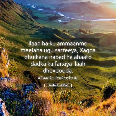 Picture 05 - Luukos 2:14 SOM - Ilaah ha ku ammaanmo meelaha ugu sarreeya, Xagga - Bible Verse Picture