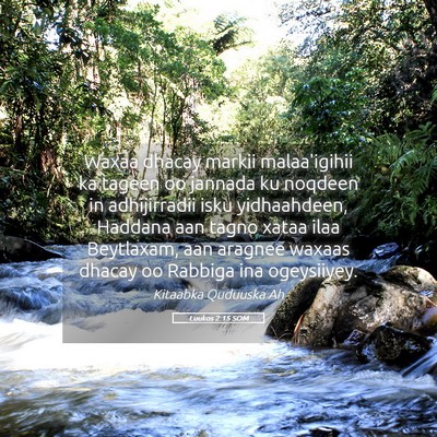 Picture 05 - Luukos 2:15 SOM - Waxaa dhacay markii malaa'igihii ka tageen oo - Bible Verse Picture