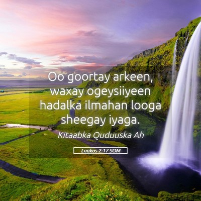 Picture 05 - Luukos 2:17 SOM - Oo goortay arkeen, waxay ogeysiiyeen hadalka - Bible Verse Picture