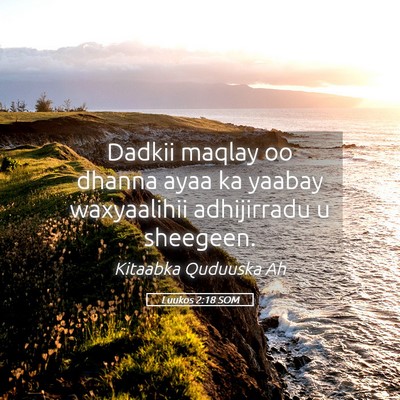 Picture 05 - Luukos 2:18 SOM - Dadkii maqlay oo dhanna ayaa ka yaabay - Bible Verse Picture